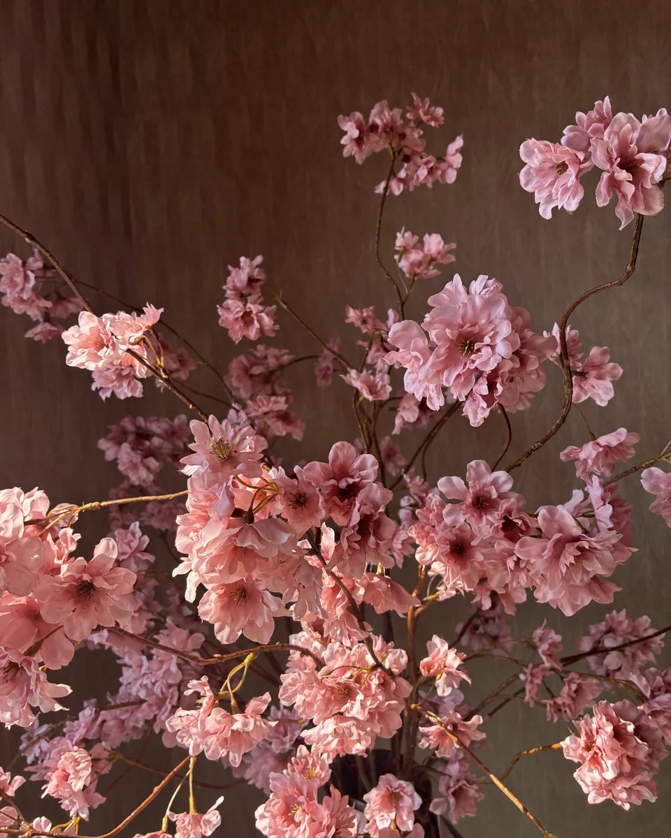 Prunus Pandora Oud Roze 128cm