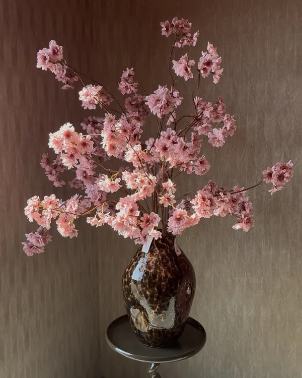 Prunus Pandora Oud Roze 128cm