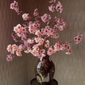 Prunus Pandora Oud Roze 128cm